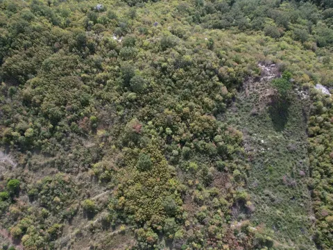 Prodaja, plac, 4000m², Lapčići, Budva - image 4