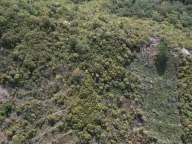 Sale, land lot, 4000m², Lapčići, Budva - image 4