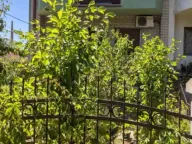 Prodaja, kuća, 274m², Tavrića obori, Jagodina - image 10