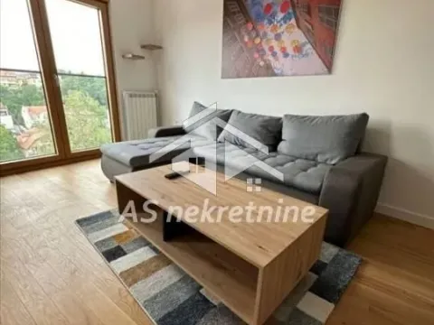 Izdavanje, dvosoban stan, 47m², Zemun Sve Podlokacije, Beograd - image 2