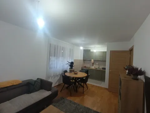 Dnevni boravak sa trpezarijom i kuhinjom u pozadini. - image 3