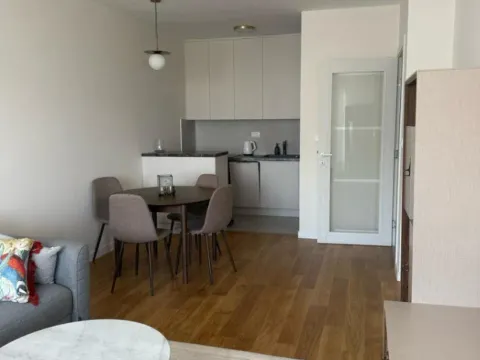 Izdavanje, jednosoban stan, 49m², Central Point, Podgorica - image 2