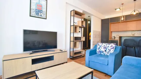 Rent, two bedroom apartment, 42m², Golubovina, Budva - image 3