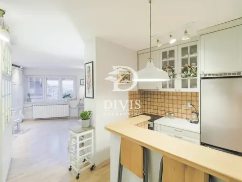 Izdavanje, dvosoban stan, 47m², Neimar, Vračar Sve Podlokacije - image 12
