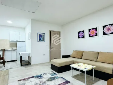 Izdavanje, stan, 33m², Stari Aerodrom, Podgorica - image 4