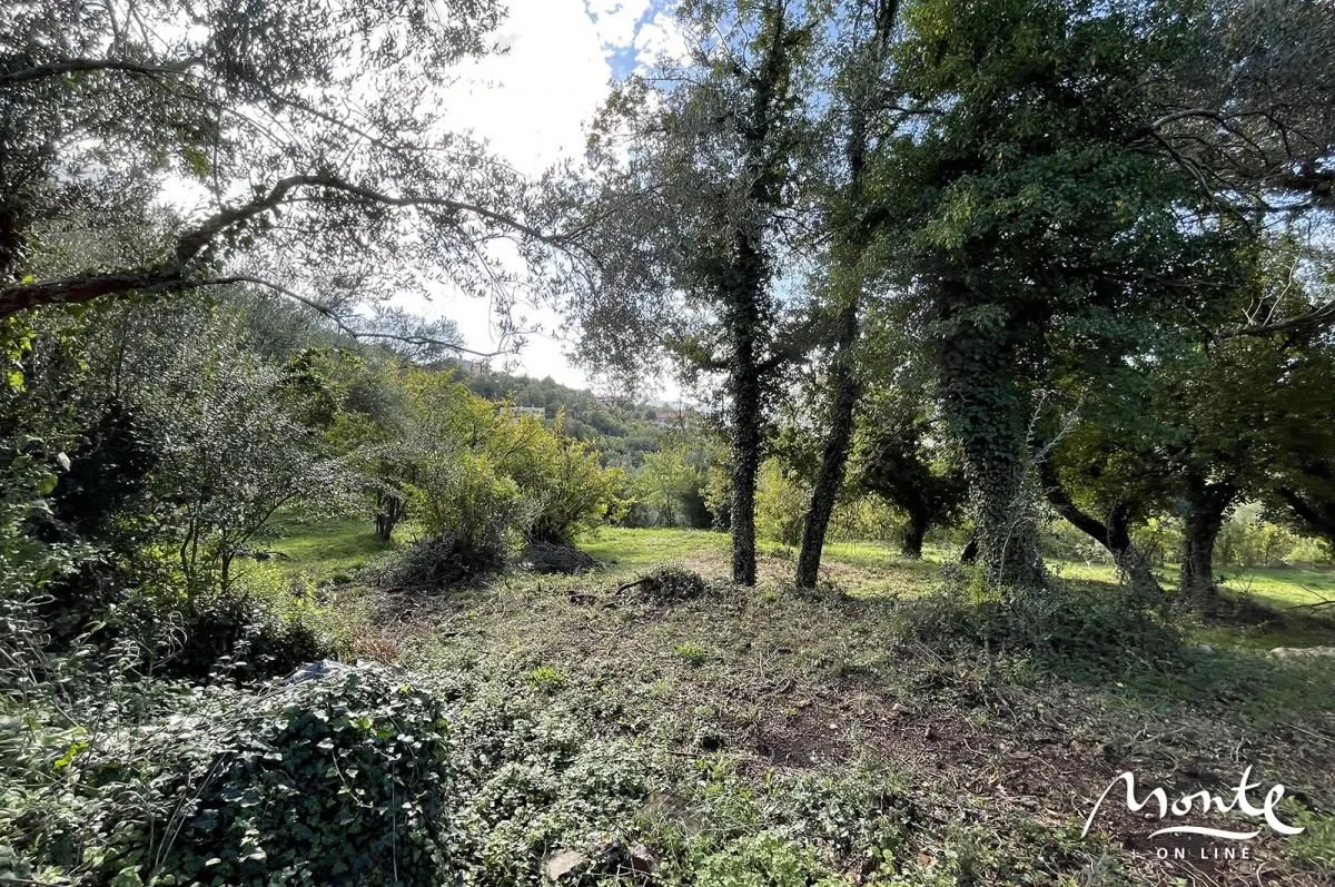 Prodaja, plac, 350m², Kavač, Kotor