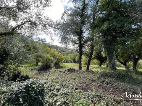 Prodaja, plac, 350m², Kavač, Kotor