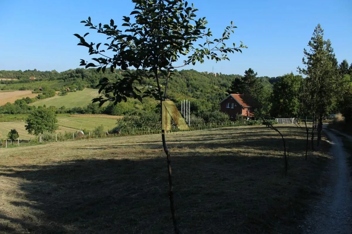 Prodaja, plac, 2000m², Sremska Kamenica, Petrovaradin