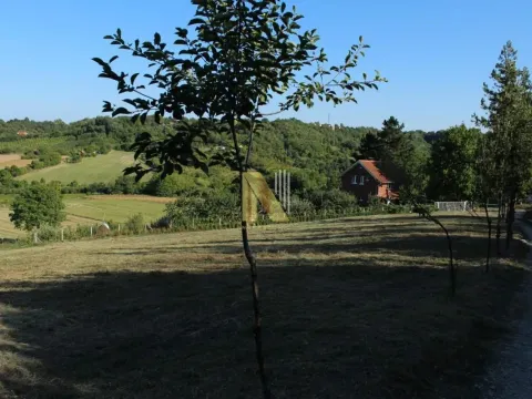 Sale, land lot, 2000m², Sremska Kamenica, Petrovaradin - image 6