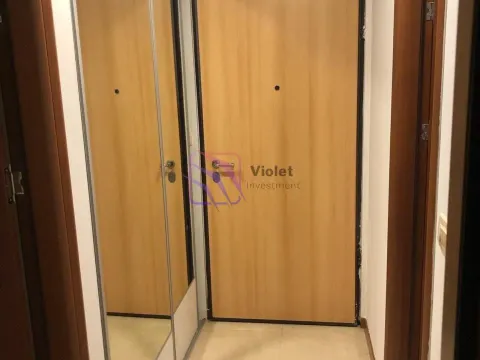 Rent, one bedroom apartment, 45m², Stari Aerodrom, Podgorica - image 3