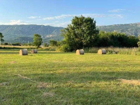 Prodaja, plac, 13391m², Danilovgrad, Crna Gora - image 2