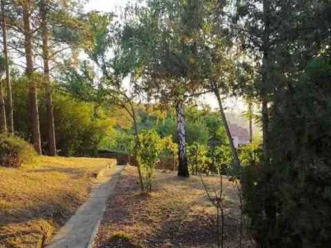 Sale, house, 91m², Krčedin, Inđija - image 3