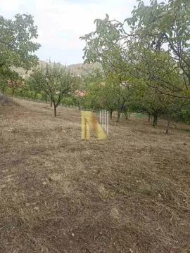 Zeleni plac sa voćnjakom i drvećem. - image 4