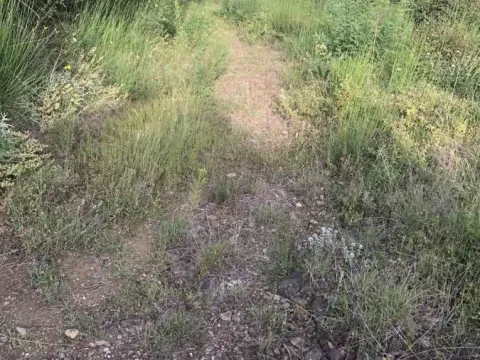 Sale, land lot, 18900m², Velja Gorana, Bar - image 2