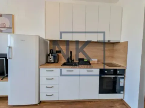 Izdavanje, jednosoban stan, 43m², Stari Aerodrom, Podgorica - image 8