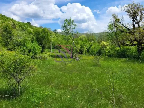 Prodaja, plac, 160000m², Nikšić, Crna Gora - image 5