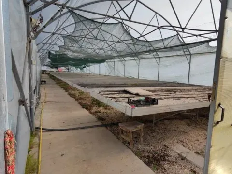 Prodaja, kuća, 203m², Jagodina, Srbija - image 16