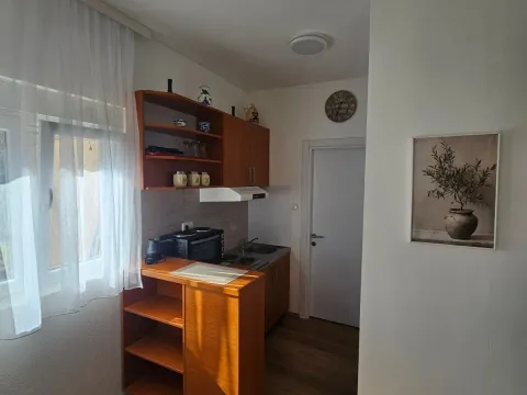 Izdavanje, jednosoban stan, 38m², Zagorič, Podgorica - image 4