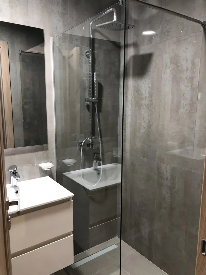 Modern bathroom with a walk-in shower and a sink.