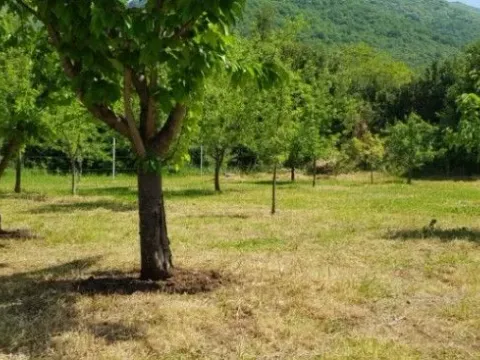 Izdavanje, kuća, 76m², Kuti, Herceg Novi - image 2