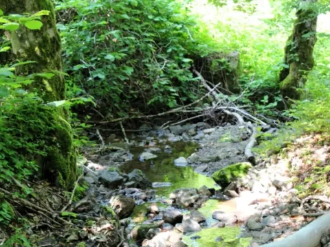 Prodaja, plac, 89208m², Padež, Kolašin - image 4