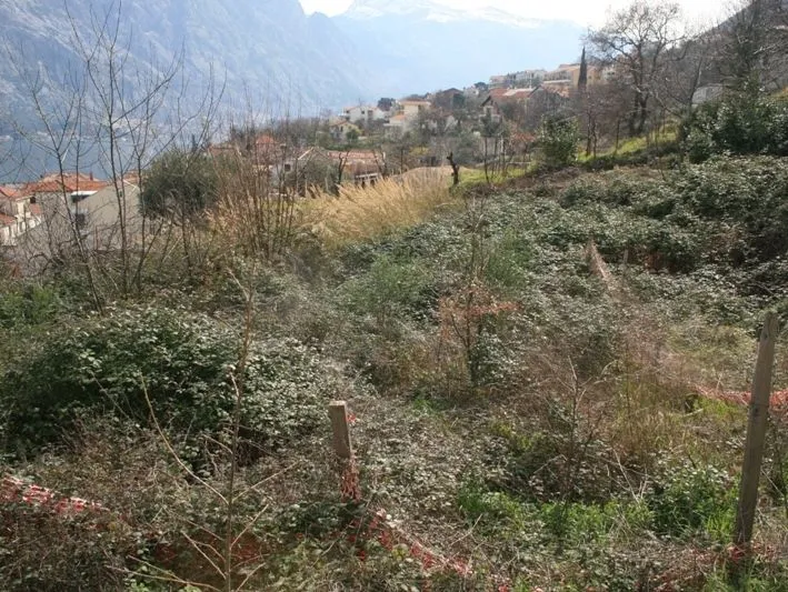 Prodaja, plac, 653m², Prčanj, Kotor