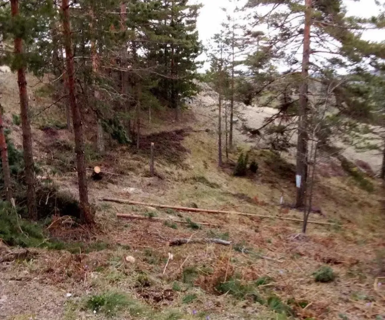 Prodaja, plac, 850m², Divčibare, Valjevo