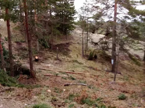 Sale, land lot, 850m², Divčibare, Valjevo - image 3