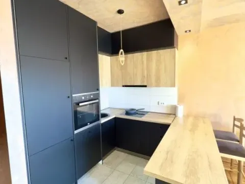 Prodaja, jednosoban stan, 47m², Ljubović, Podgorica - image 3