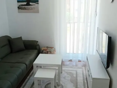 Izdavanje, jednosoban stan, 30m², Kod Big Fashion-a, Podgorica - image 7