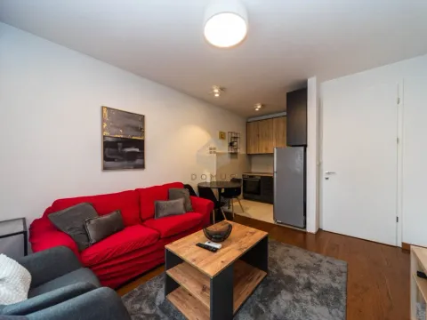 Rent, one bedroom apartment, 45m², Stara Varoš, Podgorica - image 3