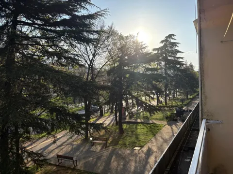 Sunny balcony view of a park with mature trees. - image 20