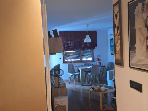 Sale, two bedroom apartment, 41m², Južni Bulevar, Vračar Sve Podlokacije - image 5