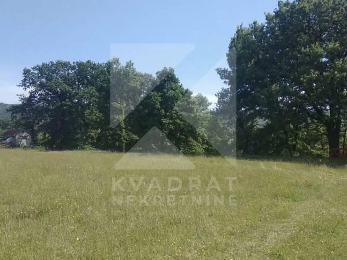 Prodaja, plac, 6500m², Pričelje, Podgorica