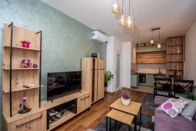 Rent, one bedroom apartment, 50m², Tološka šuma, Podgorica
