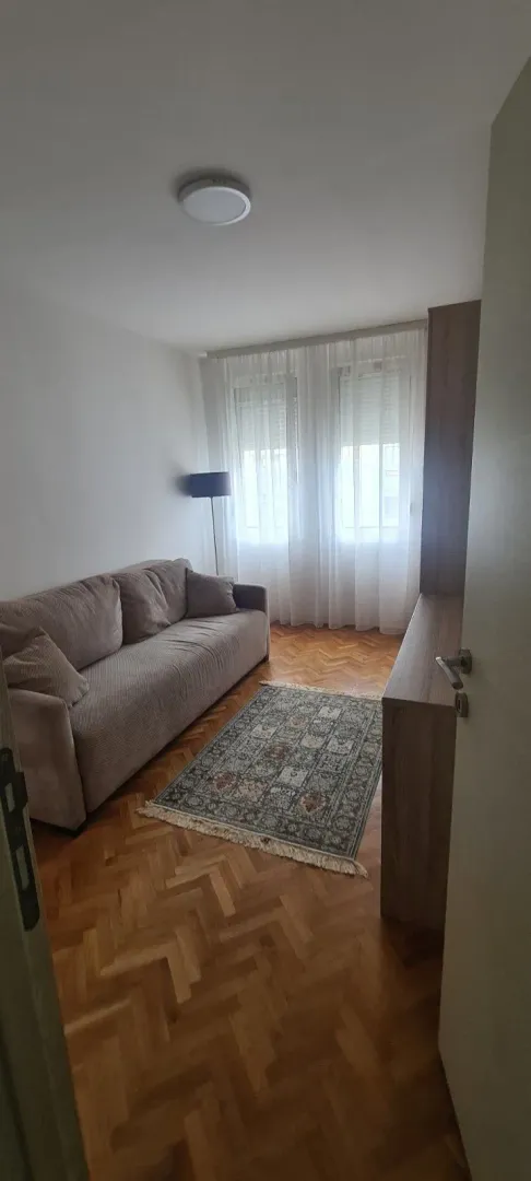 Mala dnevna soba sa kaučem, parketom i tepihom.