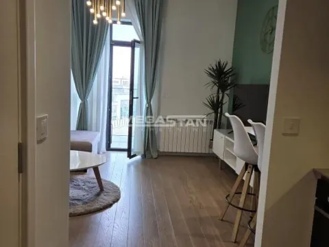 Rent, apartment, 35m², Savski Venac, Beograd - image 4