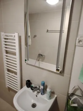 Izdavanje, garsonjera, 28m², Nova Detelinara, Novi Sad Sve Podlokacije - image 7