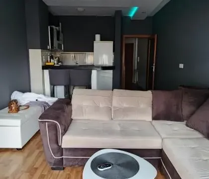 Prodaja, jednosoban stan, 35m², Spens, Novi Sad Sve Podlokacije - image 3