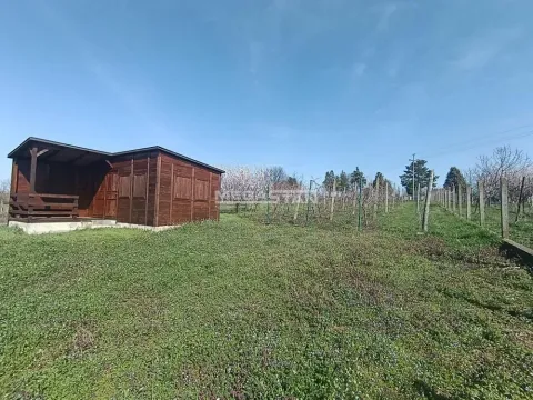 Sale, land lot, 4306m², Čukarica, Beograd - image 5