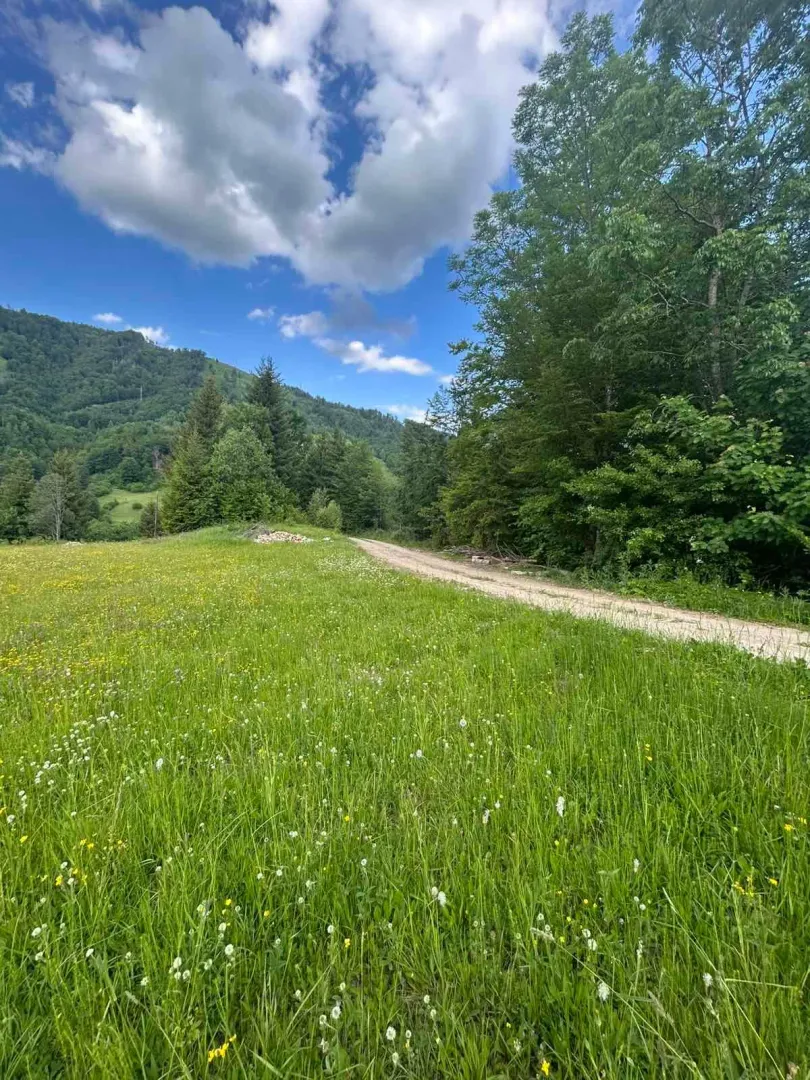 Prodaja, plac, 62000m², Bare Kraljske, Kolašin