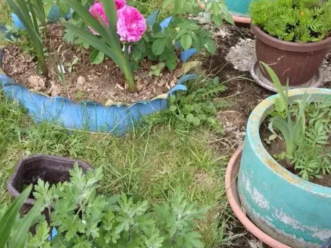 Sale, house, 88m², Pljevlja, Crna Gora - image 7