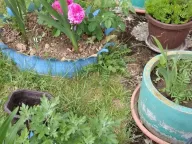 Sale, house, 88m², Pljevlja, Crna Gora - image 7