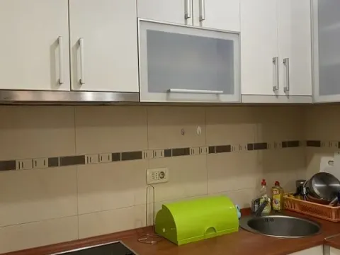 Izdavanje, jednosoban stan, 45m², Stari Aerodrom, Podgorica - image 4