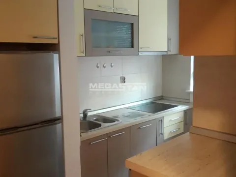 Izdavanje, dvosoban stan, 40m², Novi Beograd Blok 63, Novi Beograd Sve Podlokacije - image 10