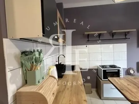 Sale, apartment, 30m², Zvezdara Sve Podlokacije, Beograd - image 7