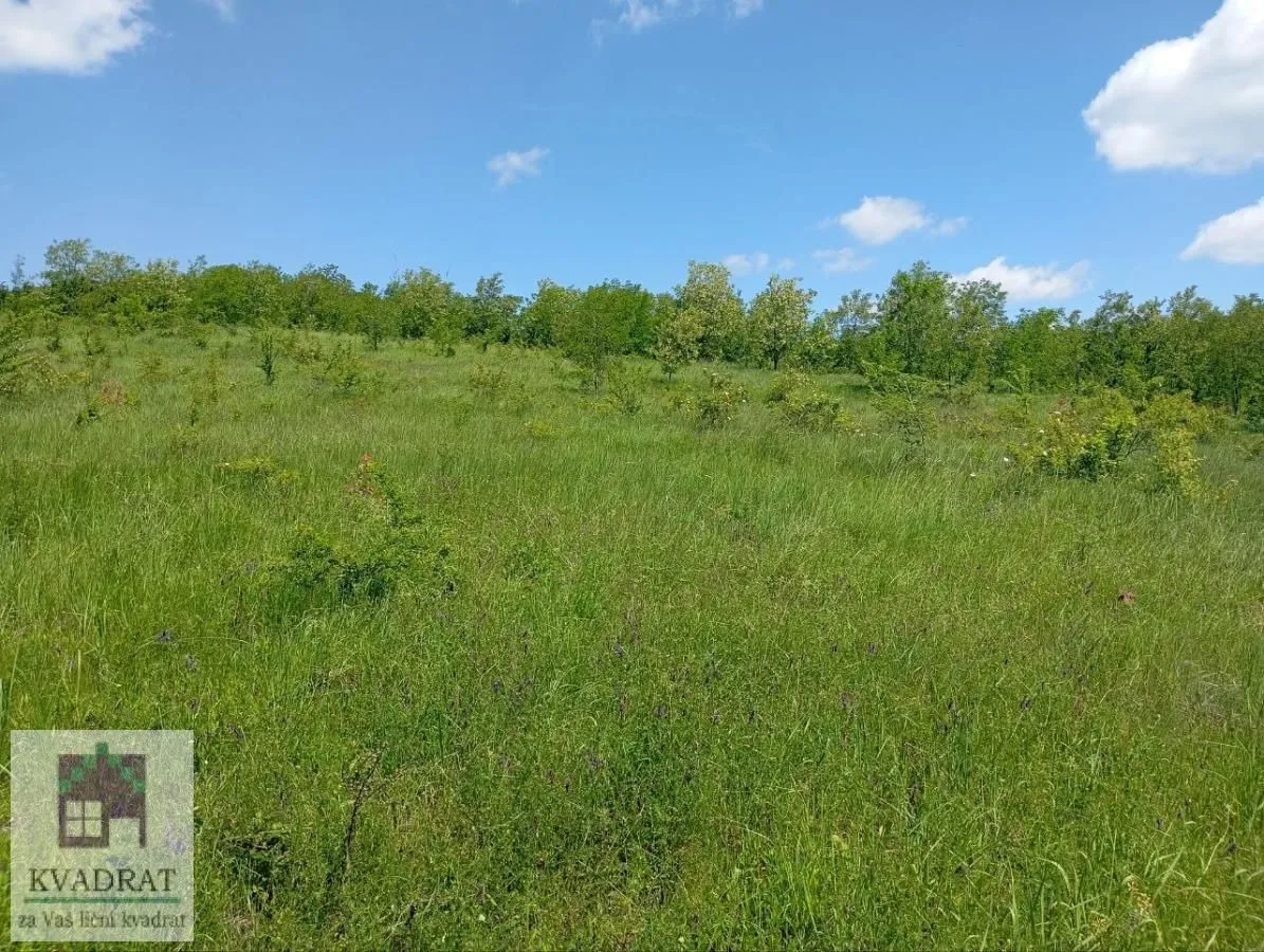 Sale, land lot, 2000m², Jasenak, Obrenovac