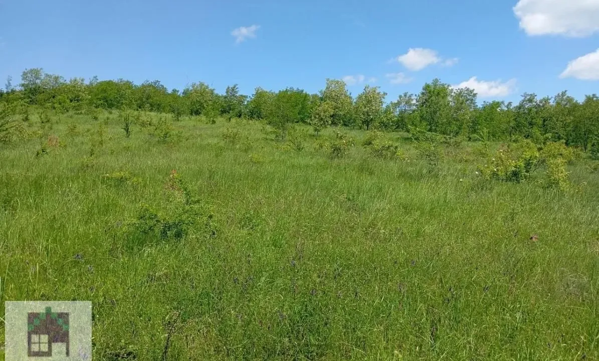 Prodaja, plac, 2000m², Jasenak, Obrenovac