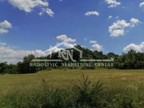 Sale, house, 54m², Kosmaj, Sopot - image 2