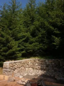 Kameni potporni zid na placu okruženom visokim borovima. - image 3
